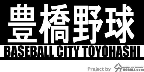 豊橋野球 BASEBALL CITY TOYOHASHI